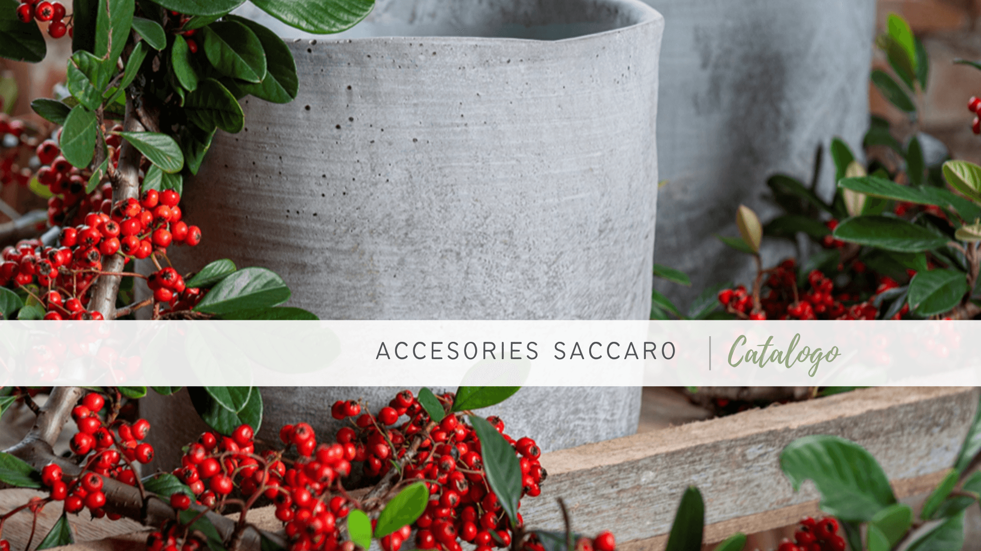 Catalogo Accesories Saccaro